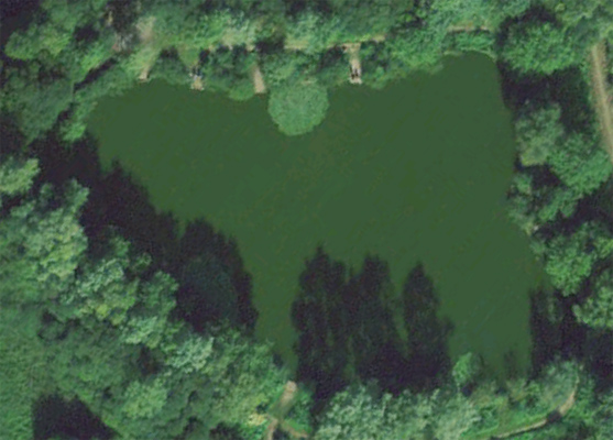 Judges Lake Carp Fishing Winnall Lakes Winchester